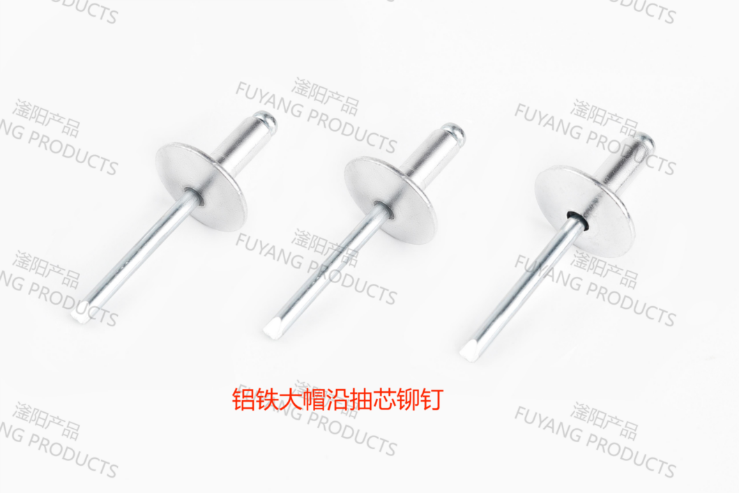 Large Flange Blind Rivets Large flange blind rivets with wide heads